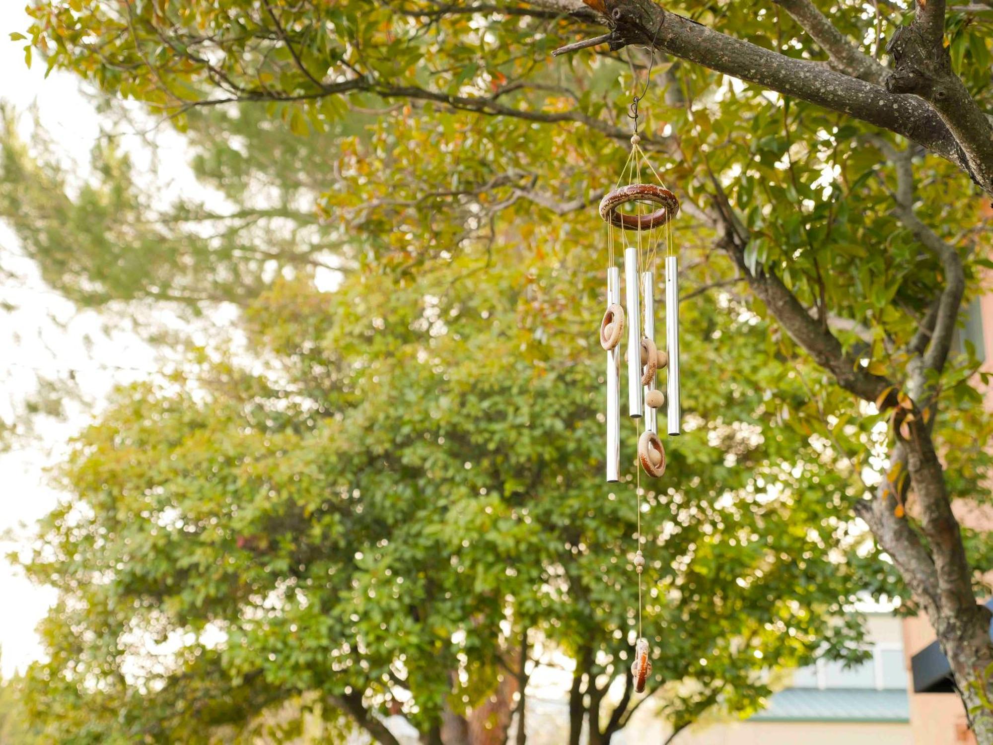 Ashland Commons Hostel 外观 照片